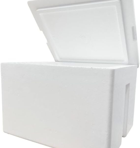 Ice Chest Medium #3550