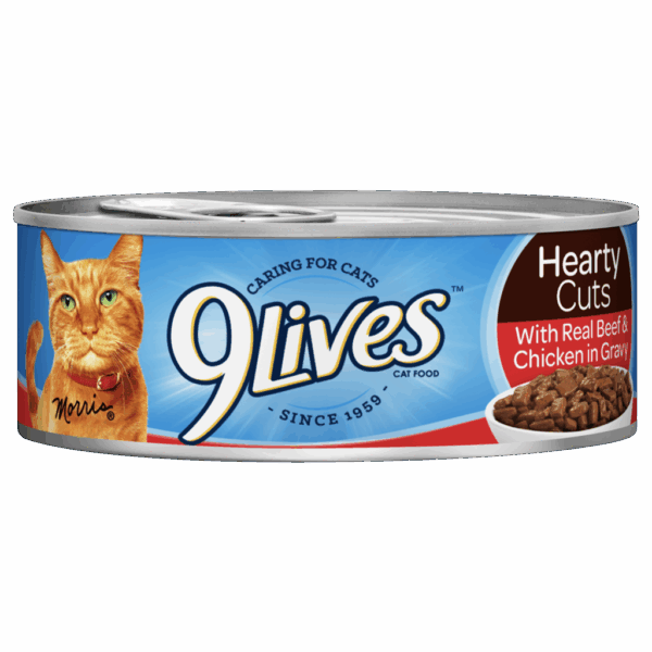 9 Live Chipped beef Gravy