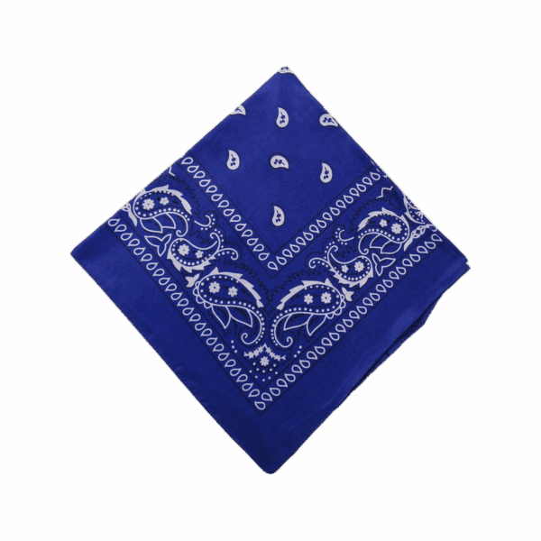 Bandana Blue