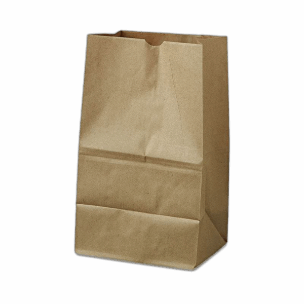 Paper Bag, 20 lb Capacity