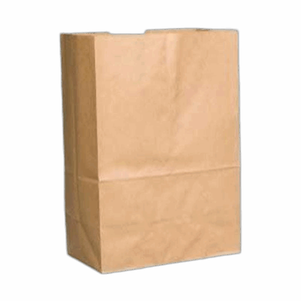 Paper Bags, 2 lb Capacity