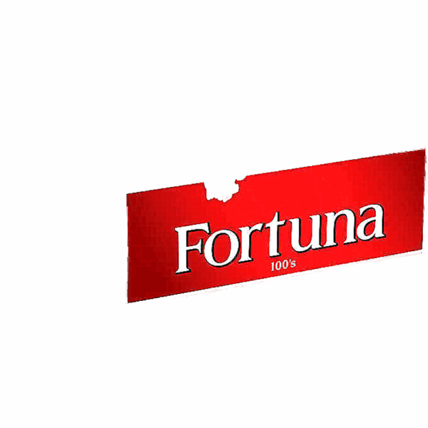 Fortuna 100's Box Full Flavor