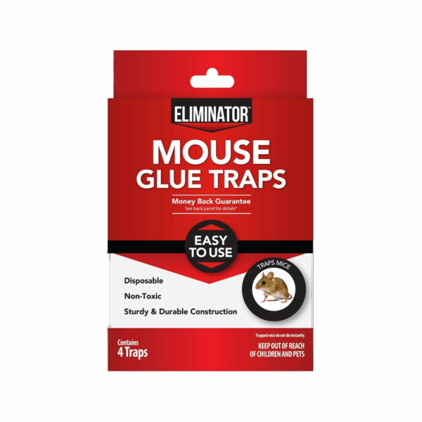 Glue Trap