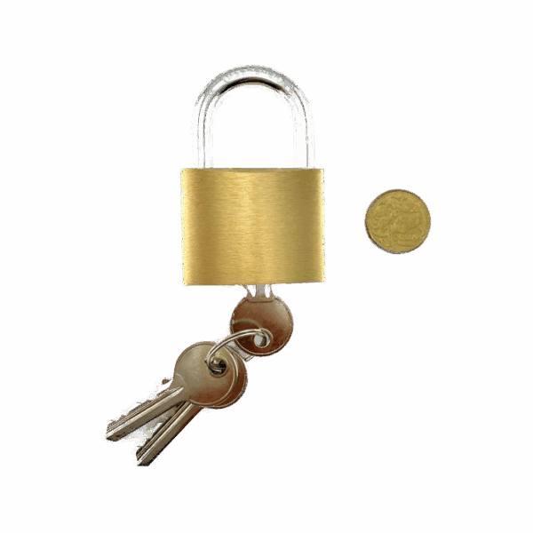 Padlock Medium