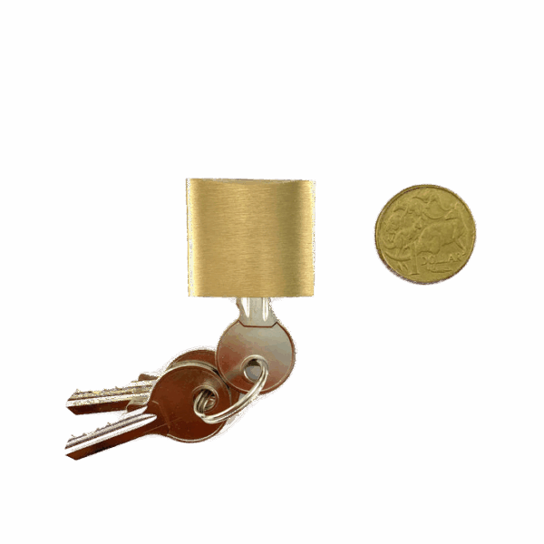 Padlock Small